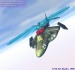 Raptor-52
